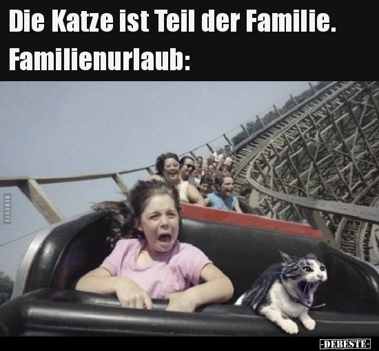 Die Katze ist Teil der Familie. Familienurlaub.. - Lustige Bilder | DEBESTE.de
