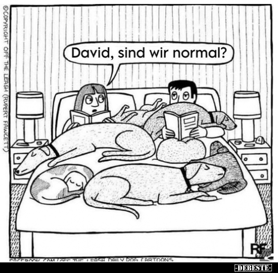 David, sind wir normal?.. - Lustige Bilder | DEBESTE.de