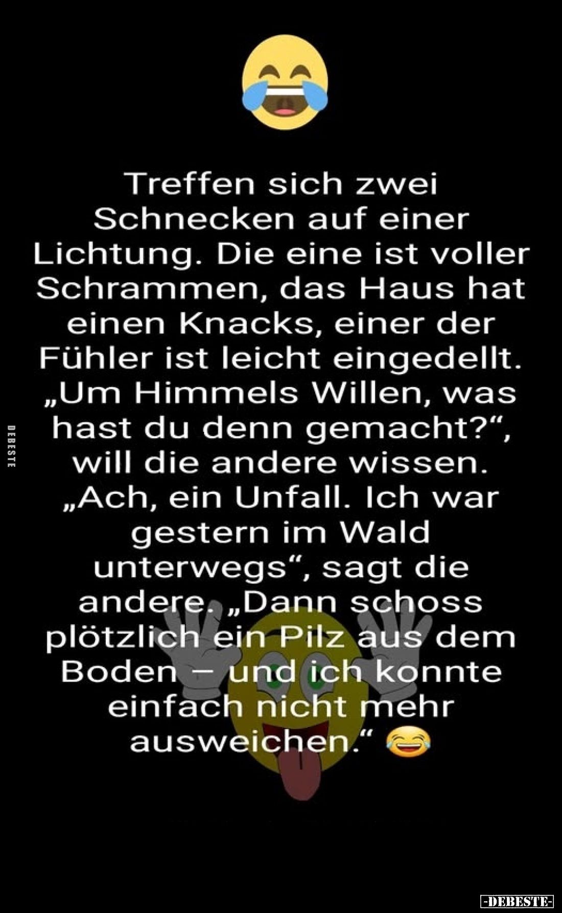 Treffen sich zwei Schnecken auf einer Lichtung. Die eine ist voller Schrammen, das Haus hat einen Knacks, einer der Fühler is...