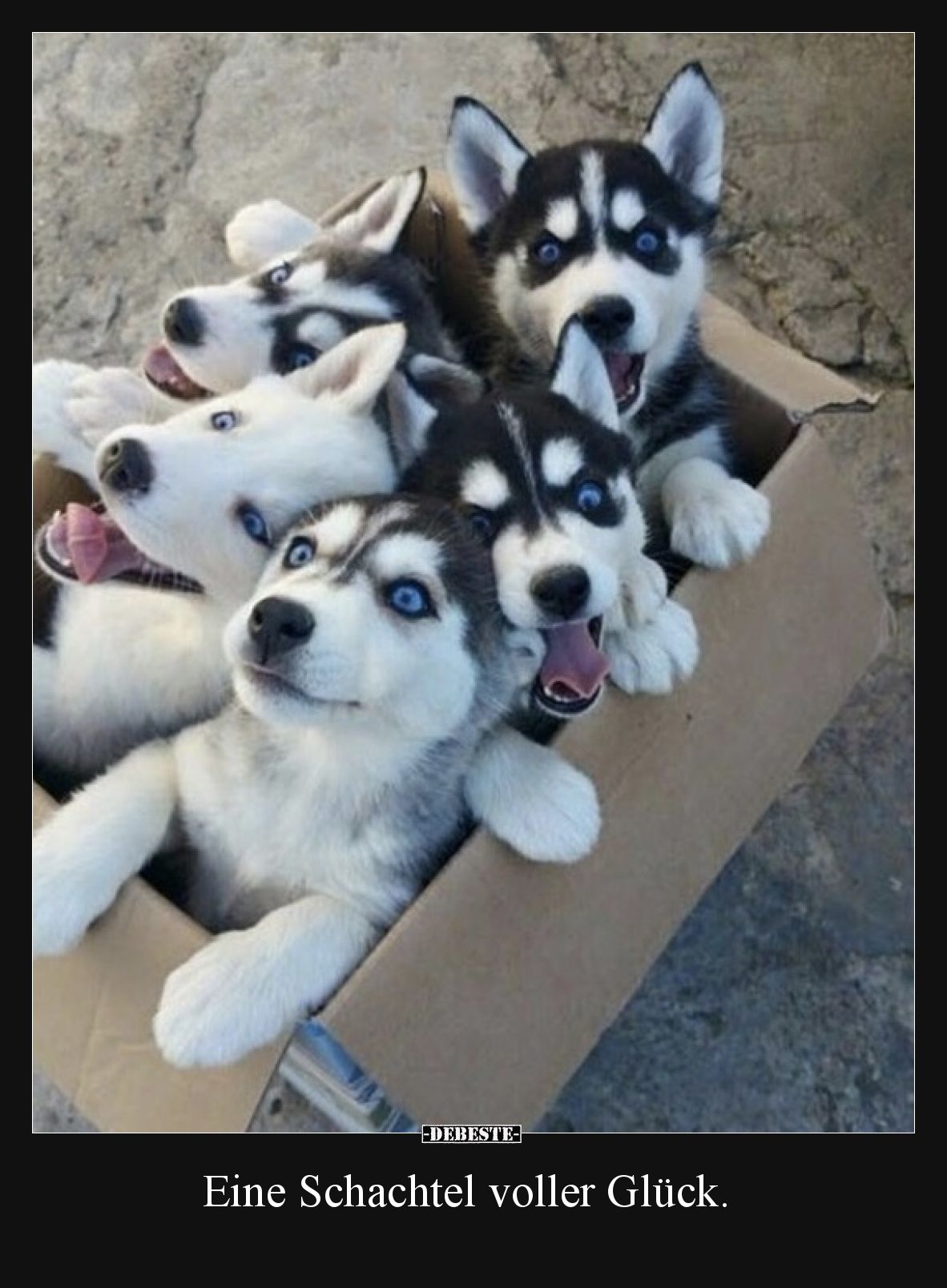 Eine Schachtel voller Glück.