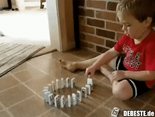 Eine Katze im Körper eines Hundes..