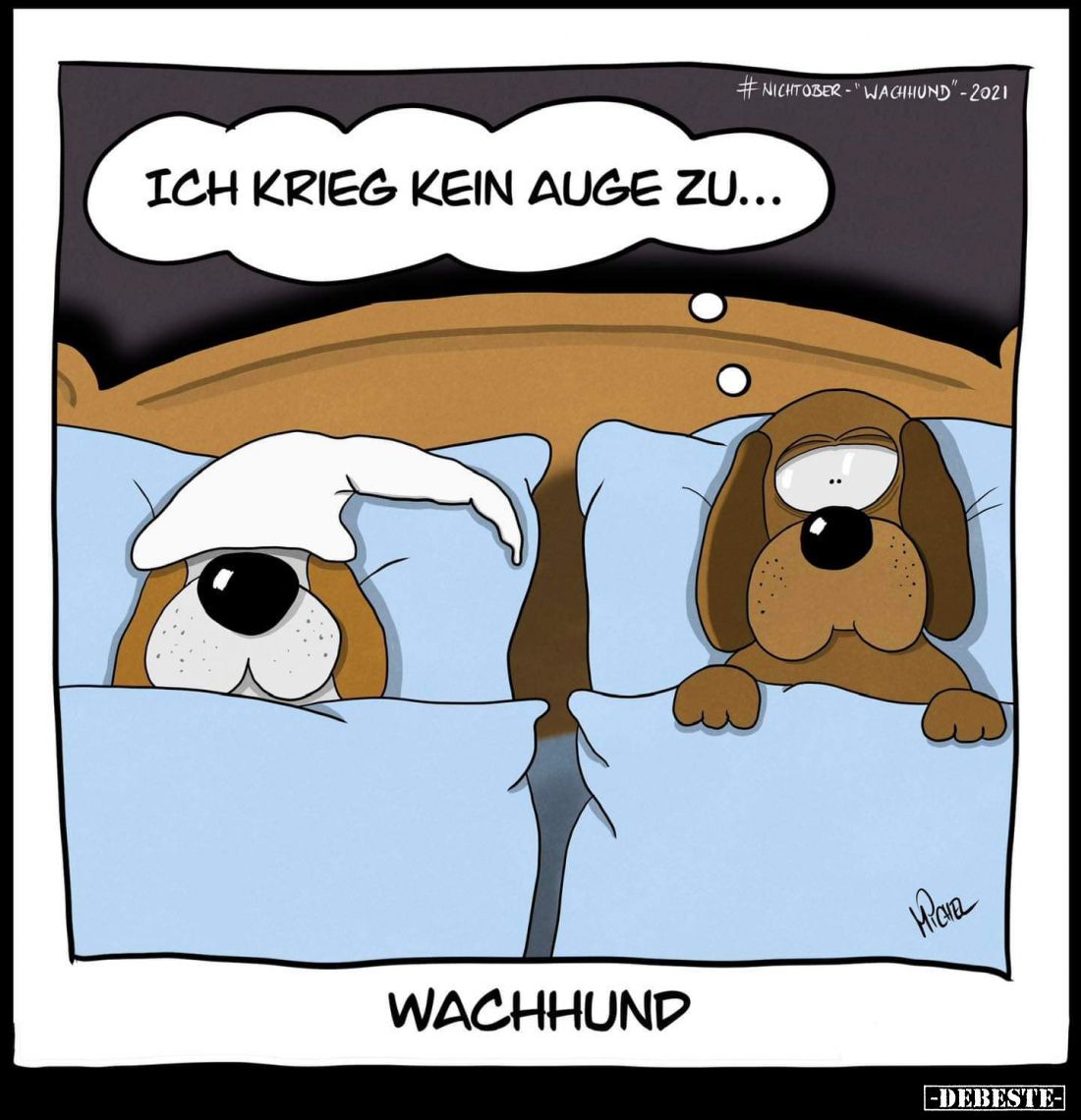 Wachhund: Ich krieg kein Auge zu...