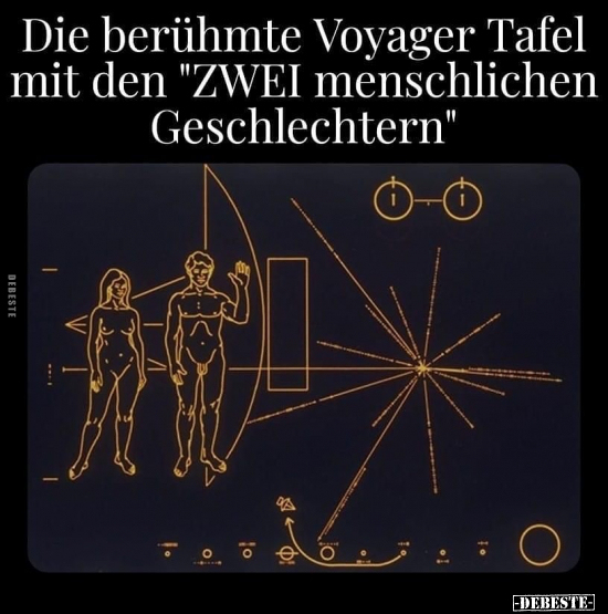 Die berühmte Voyager Tafel mit den "ZWEI menschlichen.." - Lustige Bilder | DEBESTE.de