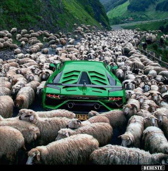  - Lustige Bilder | DEBESTE.de