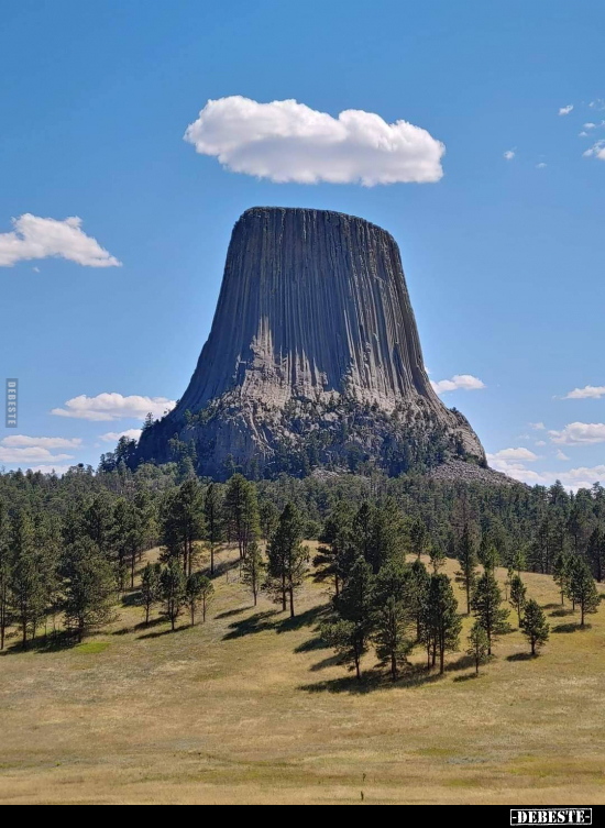  - Lustige Bilder | DEBESTE.de