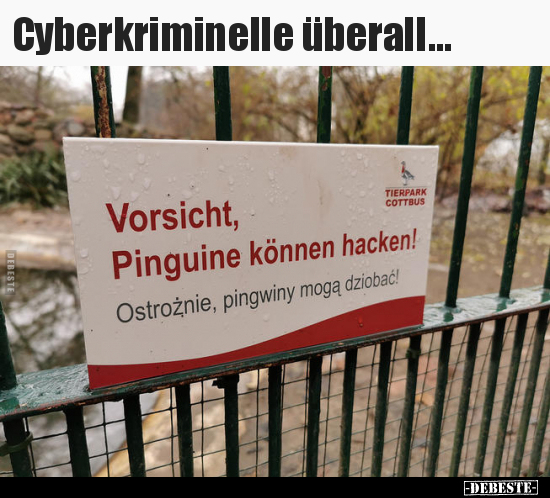 Cyberkriminelle überall... - Lustige Bilder | DEBESTE.de