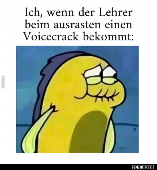 Ich, wenn der Lehrer beim ausrasten einen Voicecrack.. - Lustige Bilder | DEBESTE.de