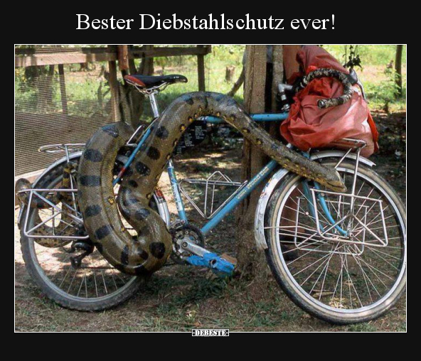 Bester Diebstahlschutz ever!.. - Lustige Bilder | DEBESTE.de