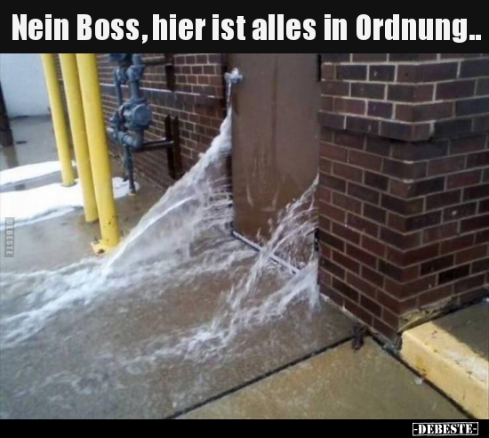 Nein Boss, hier ist alles in Ordnung.. - Lustige Bilder | DEBESTE.de