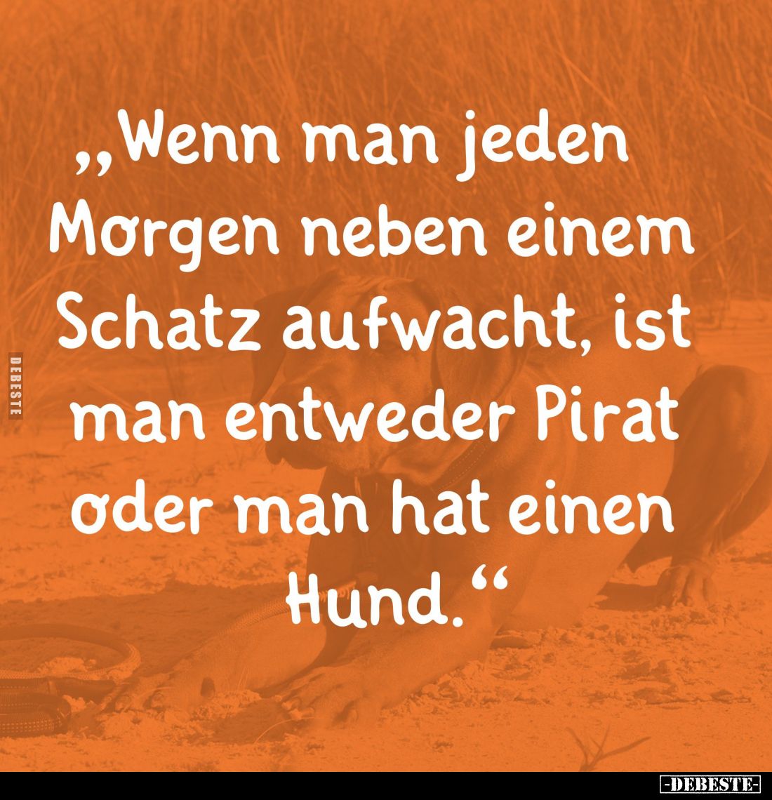 Wenn man jeden Morgen neben einem Schatz aufwacht, ist man entweder Pirat oder man hat einen Hund.