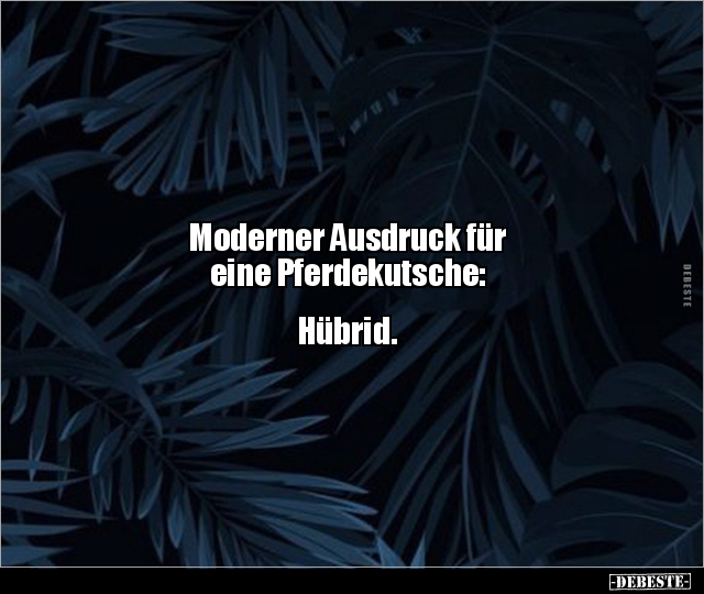 Moderner Ausdruck für eine Pferdekutsche: Hübrid... - Lustige Bilder | DEBESTE.de