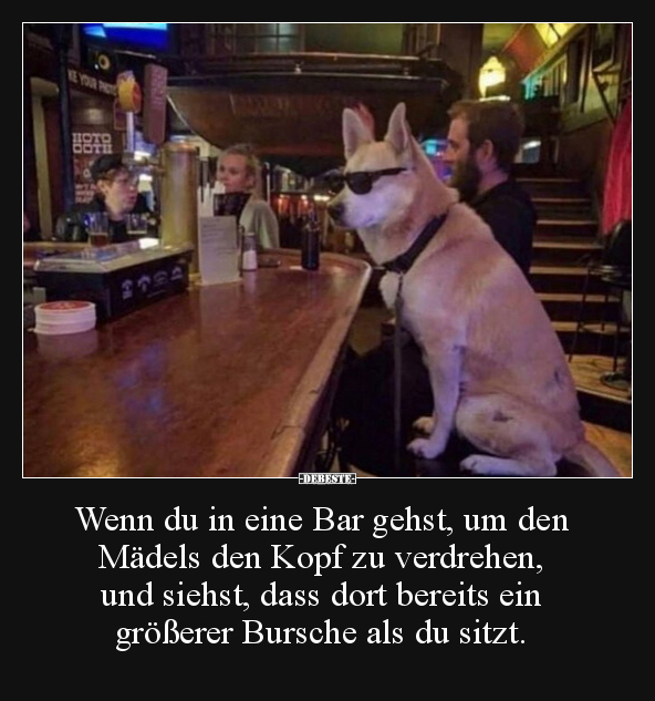 Wenn du in eine Bar gehst, um den Mädels den Kopf zu.. - Lustige Bilder | DEBESTE.de