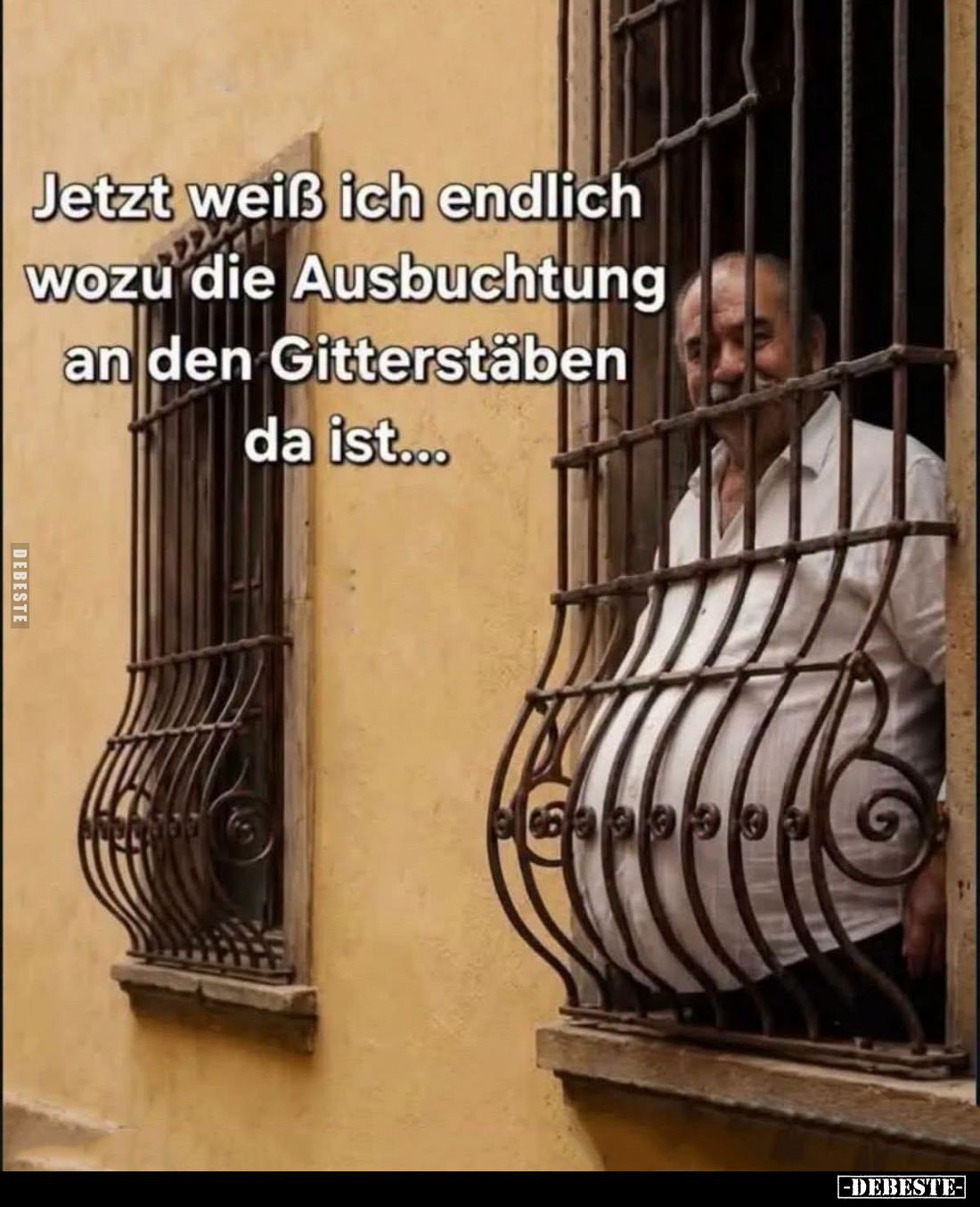 Jetzt weiß ich endlich wozu die Ausbuchtung an den Gitterstäben da ist...