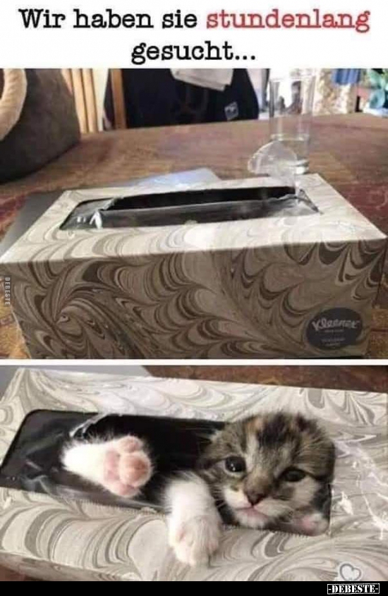 Wir haben sie stundenlang gesucht...