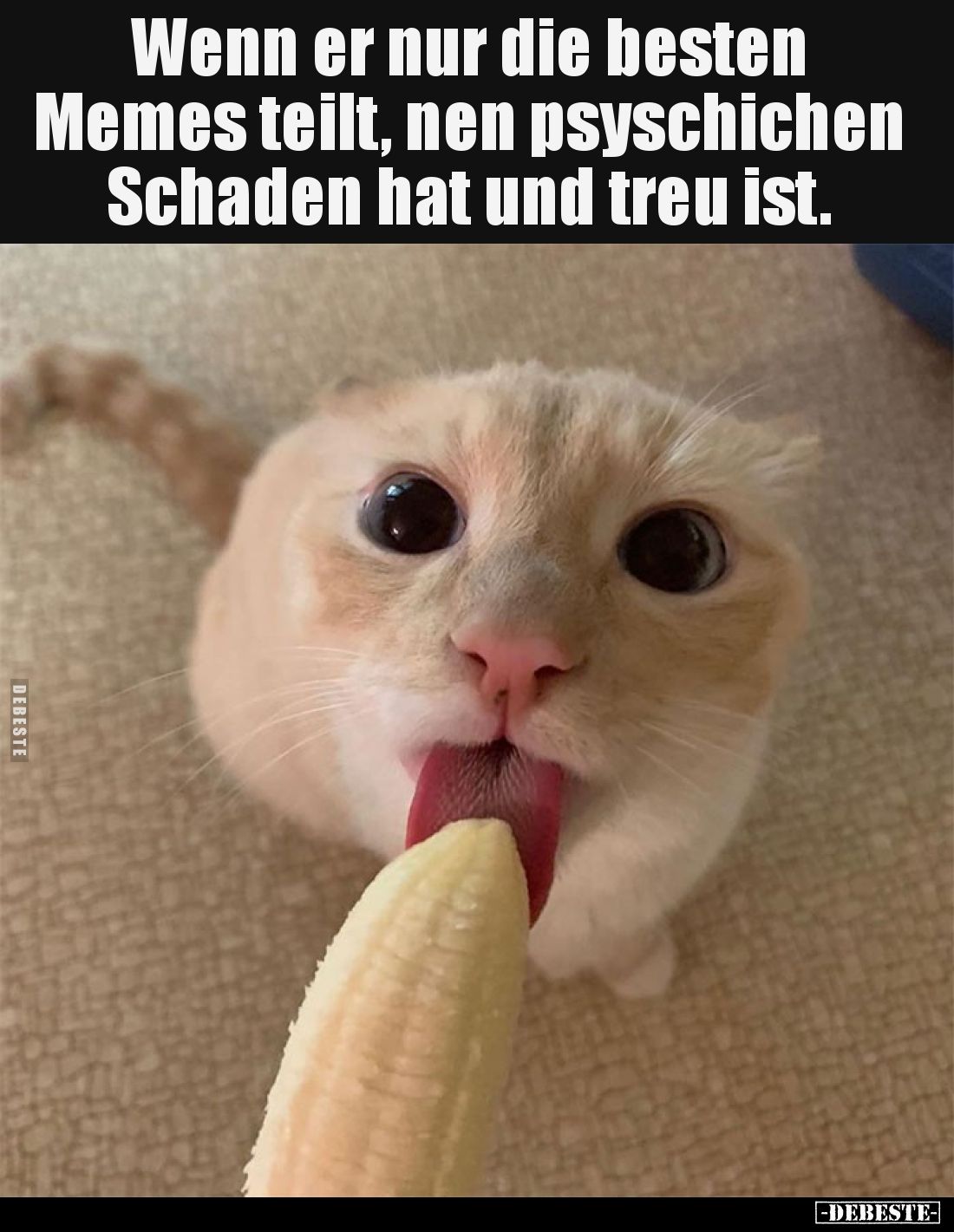 Wenn er nur die besten Memes teilt... - Lustige Bilder | DEBESTE.de