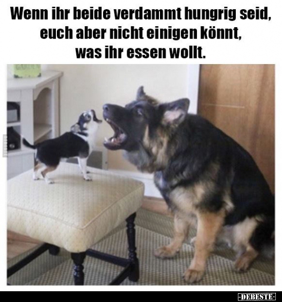 Wenn ihr beide verdammt hungrig seid, euch aber nicht..