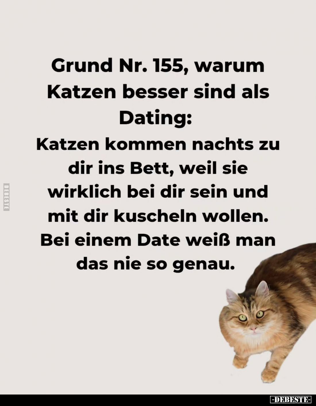 Grund Nr. 155, warum Katzen besser sind als
Dating: Katzen kommen nachts zu dir ins Bett, weil sie wirklich bei dir sein und...