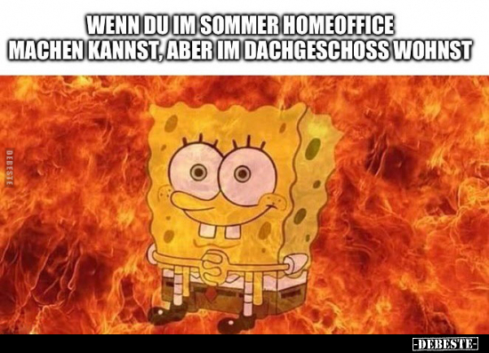 Wenn du im Sommer Homeoffice machen kannst.. - Lustige Bilder | DEBESTE.de