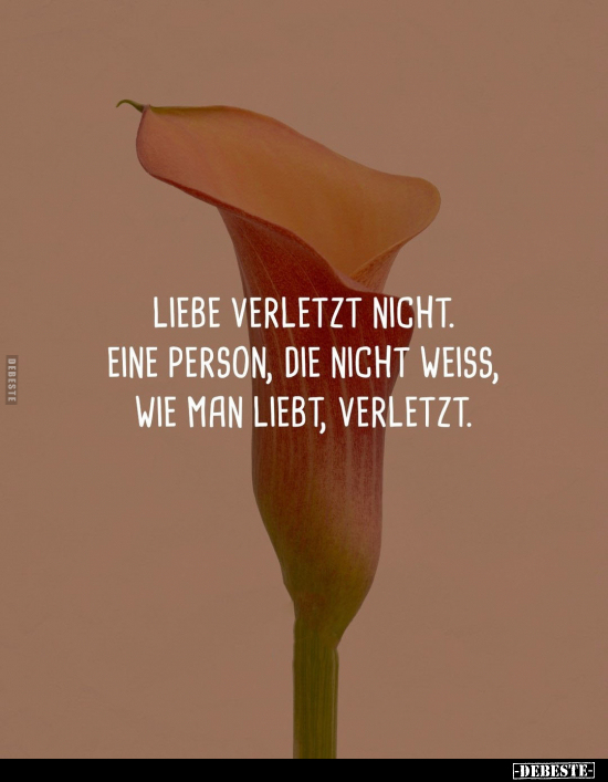 Liebe verletzt nicht. Eine Person, die nicht weiss.. - Lustige Bilder | DEBESTE.de