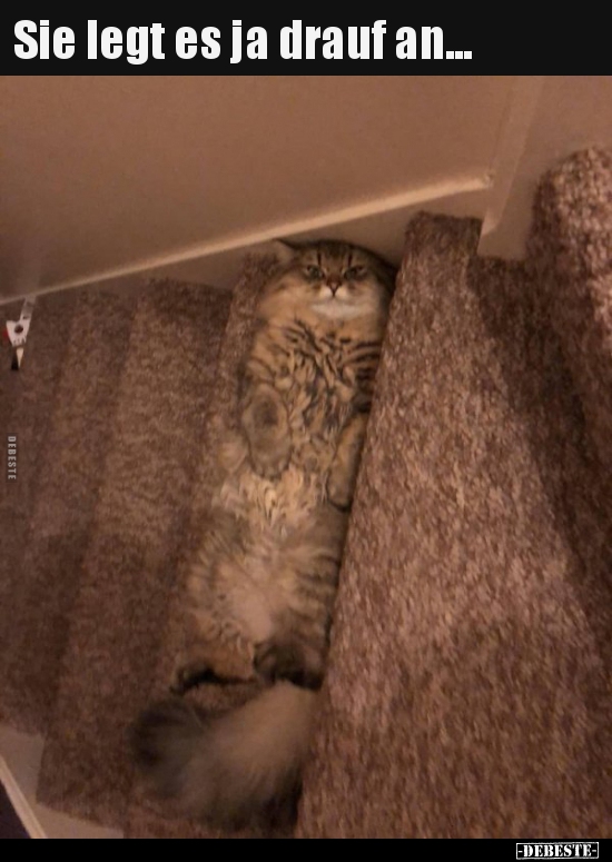 Sie legt es ja drauf an...