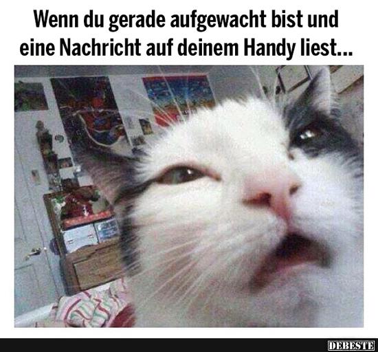 Wenn du gerade aufgewacht bist und eine Nachricht..