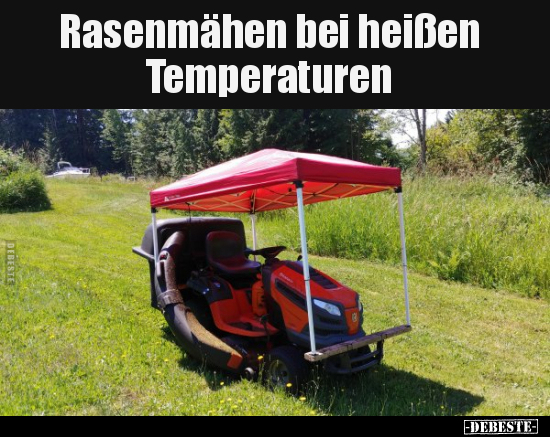 Rasenmähen bei heißen Temperaturen.. - Lustige Bilder | DEBESTE.de