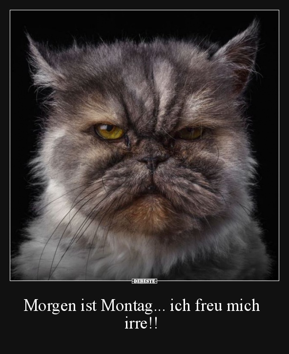 Morgen ist Montag... ich freu mich irre!! - Lustige Bilder | DEBESTE.de