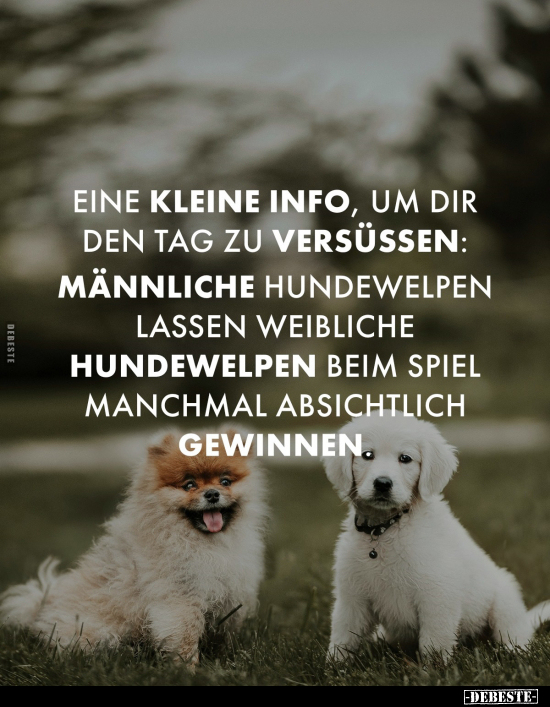 Eine kleine Info, um dir den Tag zu versüssen.. - Lustige Bilder | DEBESTE.de