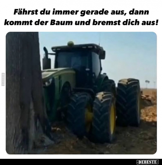 Fährst du immer gerade aus, dann kommt der Baum und bremst.. - Lustige Bilder | DEBESTE.de