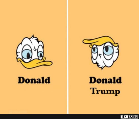Donald / Donal Trump. - Lustige Bilder | DEBESTE.de