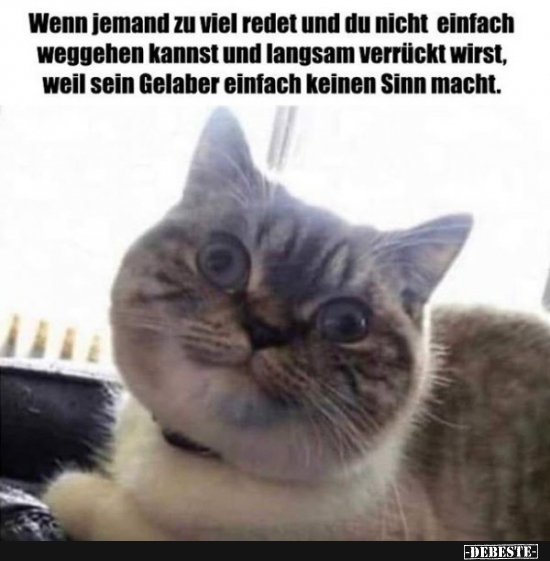Wenn jemand zu viel redet und nicht einfach weggehen..
