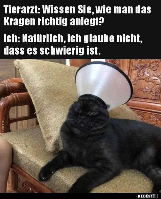 Tierarzt: Wissen Sie, wie man das Kragen richtig.. - Lustige Bilder | DEBESTE.de