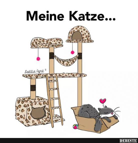 Meine Katze..