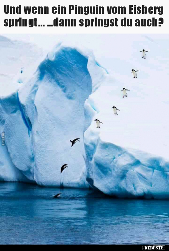 Und wenn ein Pinguin vom Eisberg springt......dann.. - Lustige Bilder | DEBESTE.de