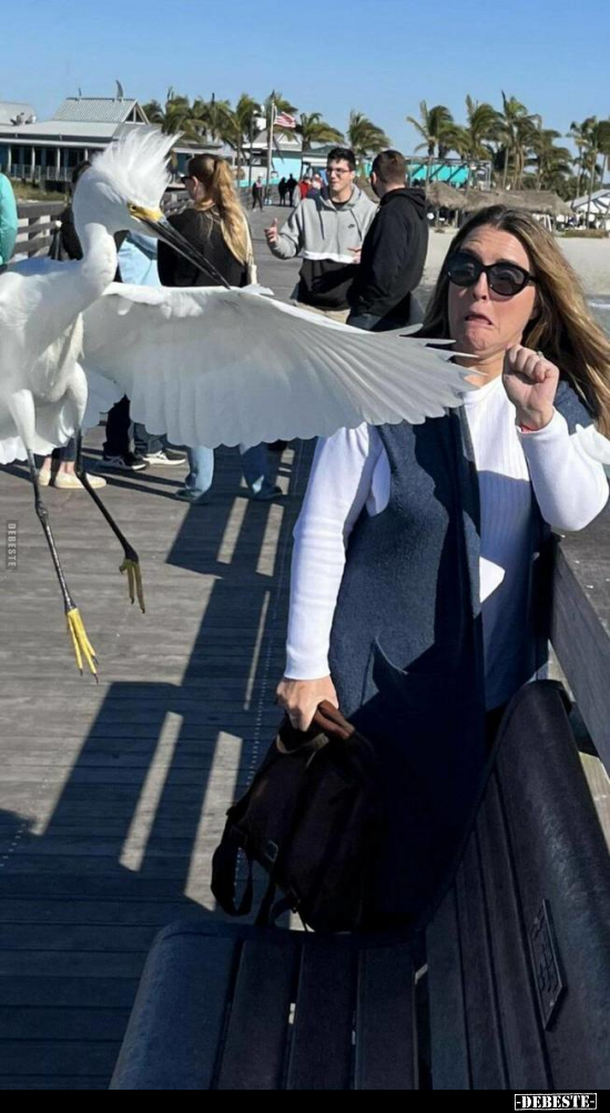  - Lustige Bilder | DEBESTE.de