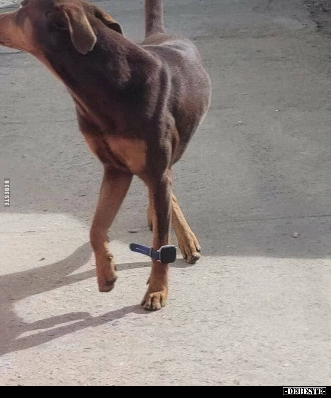  - Lustige Bilder | DEBESTE.de