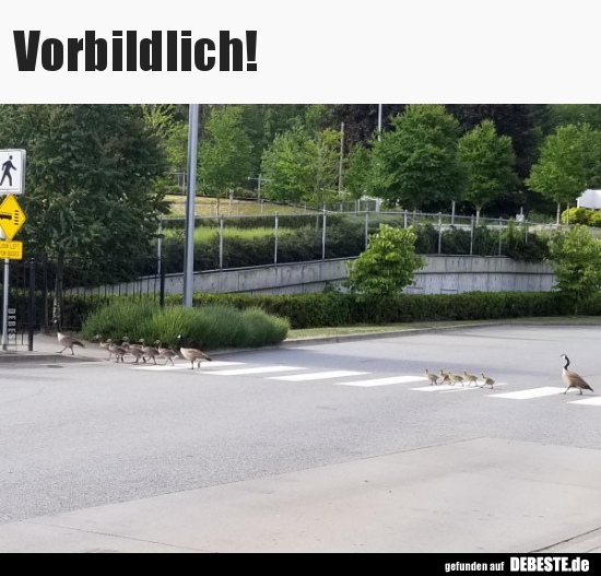 Vorbildlich!