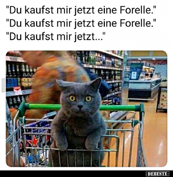 Du kaufst mir jetzt eine Forelle...