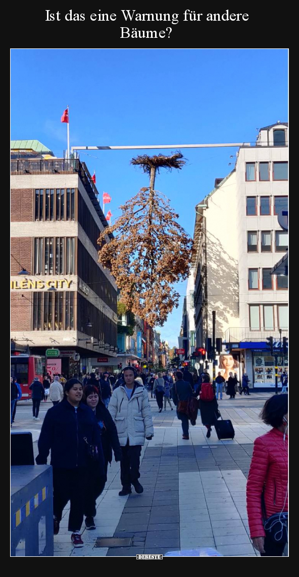 Ist das eine Warnung für andere Bäume?.. - Lustige Bilder | DEBESTE.de
