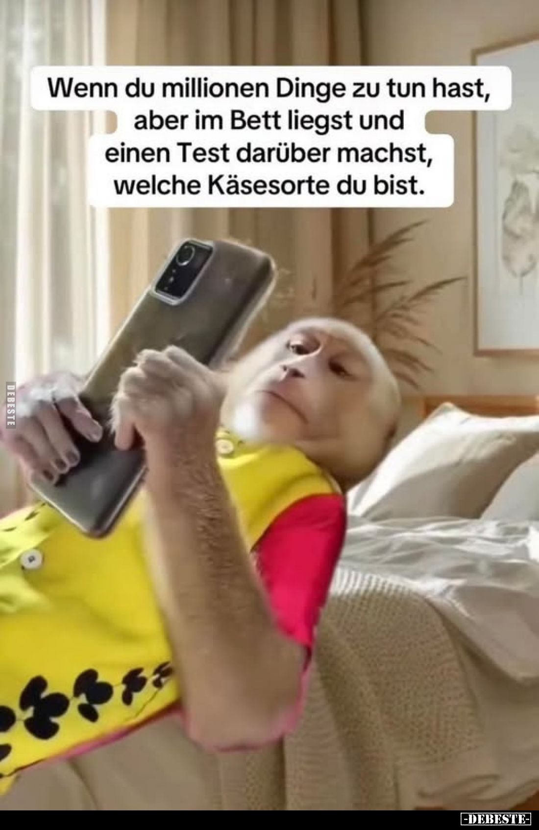 Wenn du millionen Dinge zu tun hast, aber im Bett liegst und einen Test darüber machst, welche Käsesorte du bist.