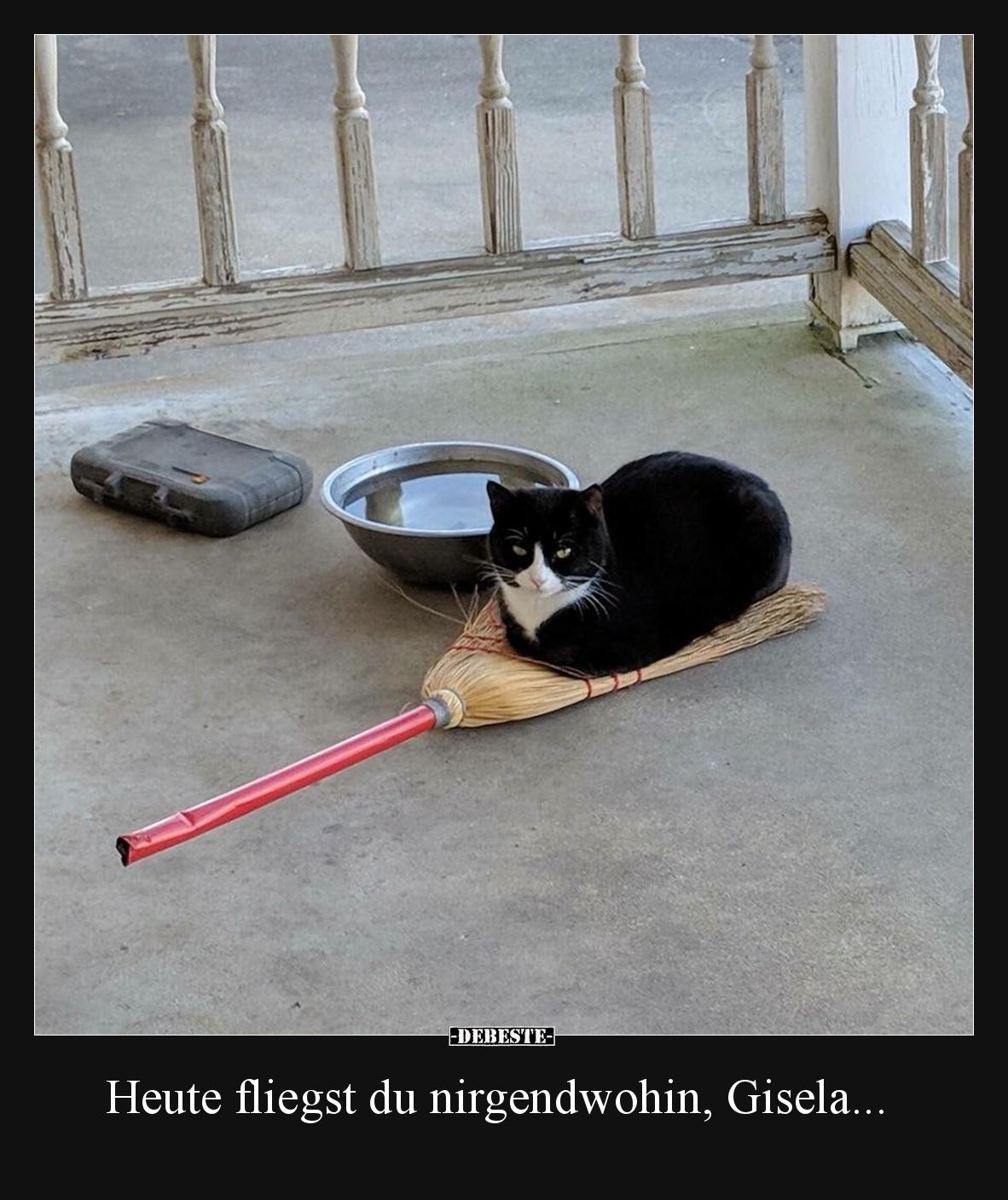 Heute fliegst du nirgendwohin, Gisela... - Lustige Bilder | DEBESTE.de