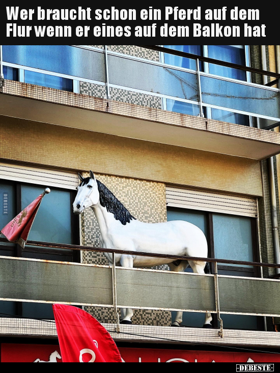Wer braucht schon ein Pferd auf dem Flur wenn er eines auf.. - Lustige Bilder | DEBESTE.de