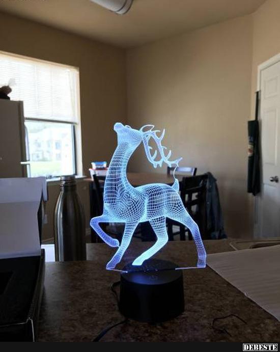  - Lustige Bilder | DEBESTE.de