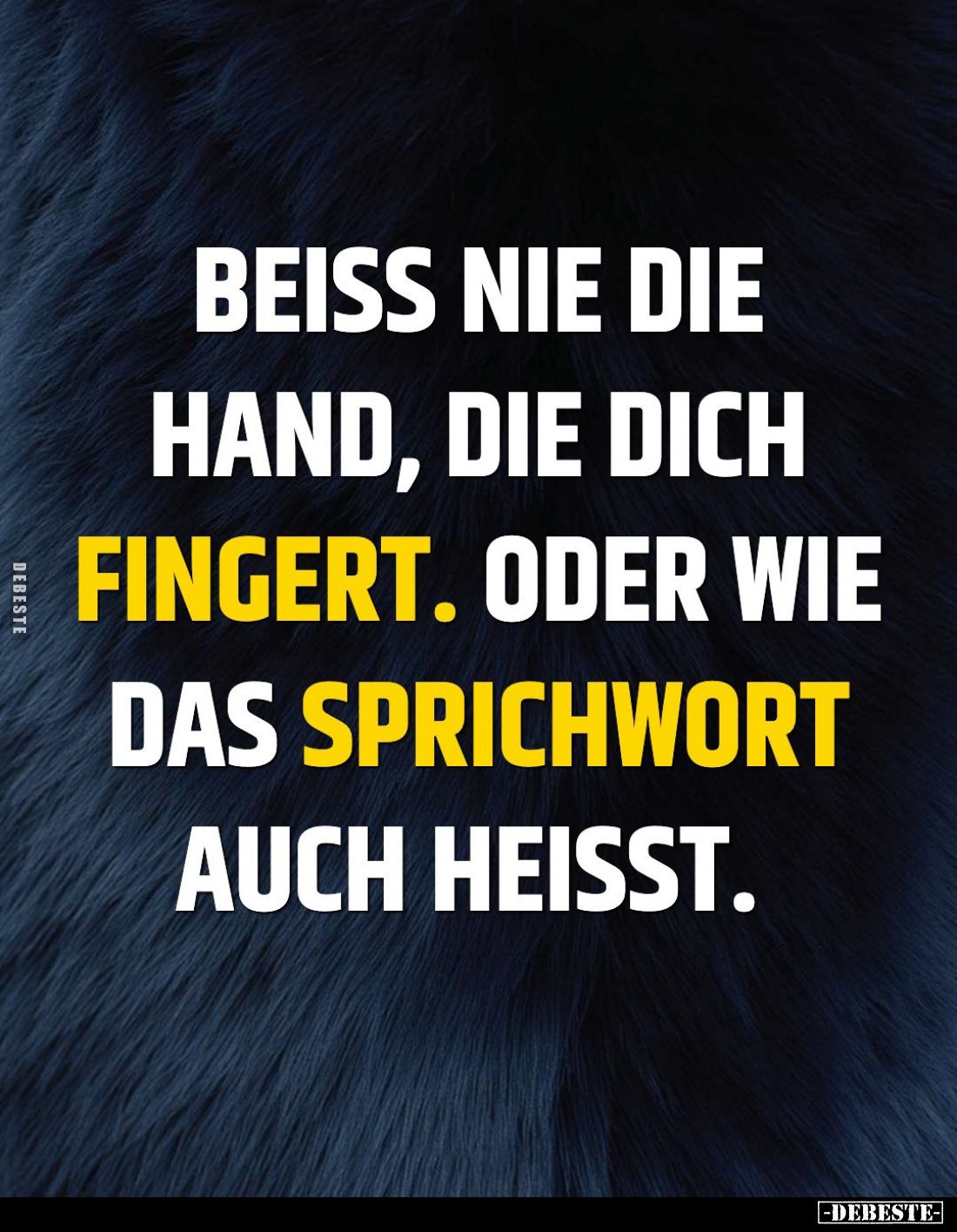 Beiss nie die Hand, die dich fingert. Oder wie das Sprichwort auch heißt.