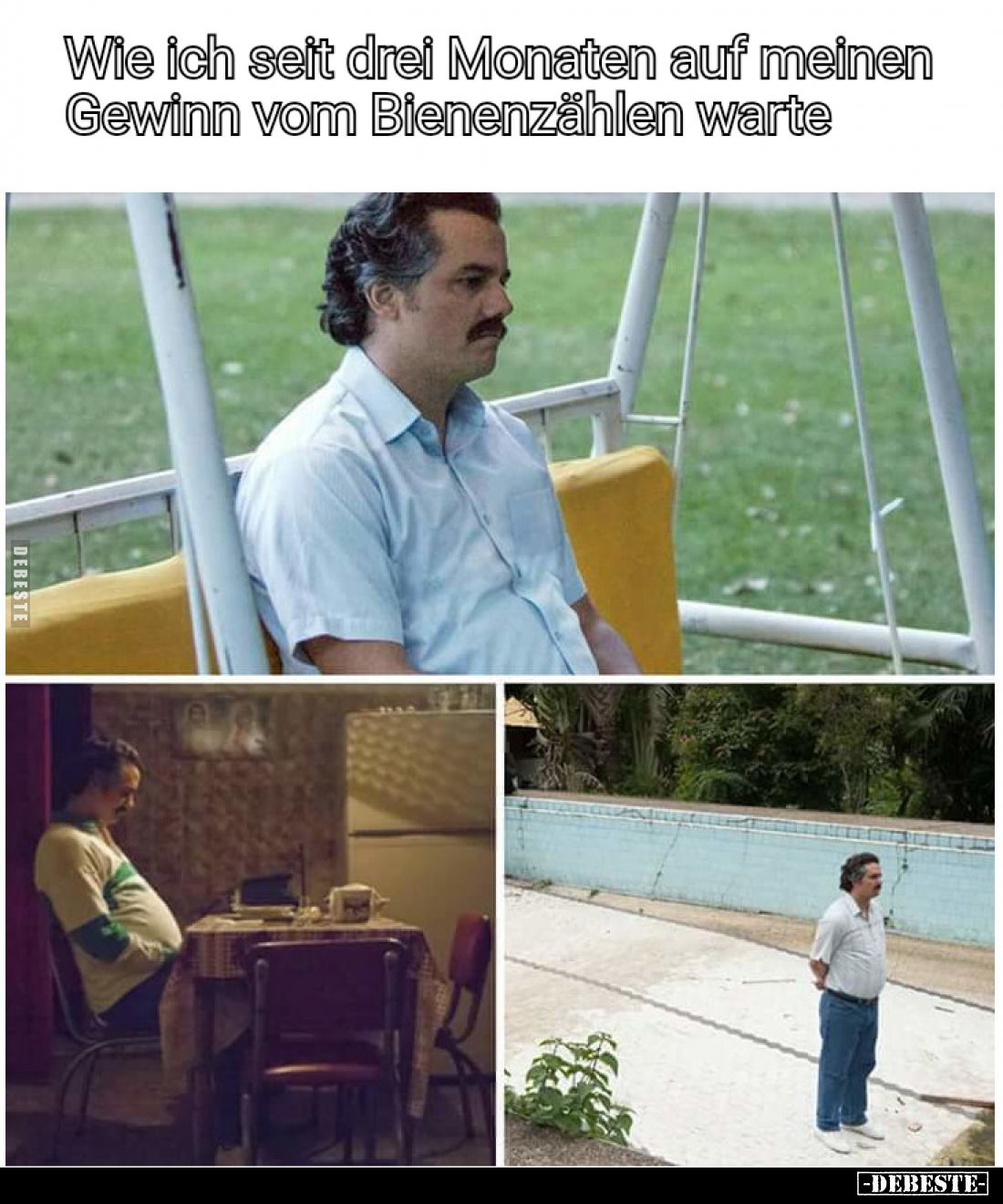 Wie ich seit drei Monaten auf meinen Gewinn vom Bienenzählen warte