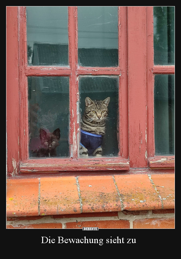 Die Bewachung sieht zu..