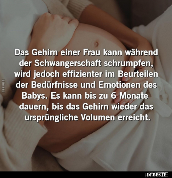 Das Gehirn einer Frau kann während der Schwangerschaft.. - Lustige Bilder | DEBESTE.de