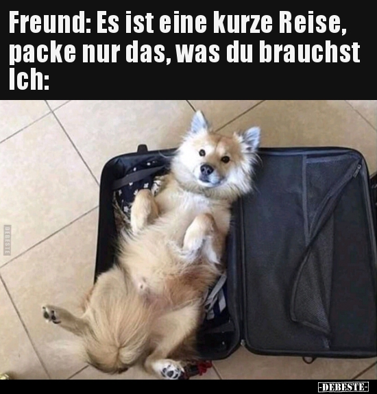 Freund: Es ist eine kurze Reise, packe nur das, was du.. - Lustige Bilder | DEBESTE.de