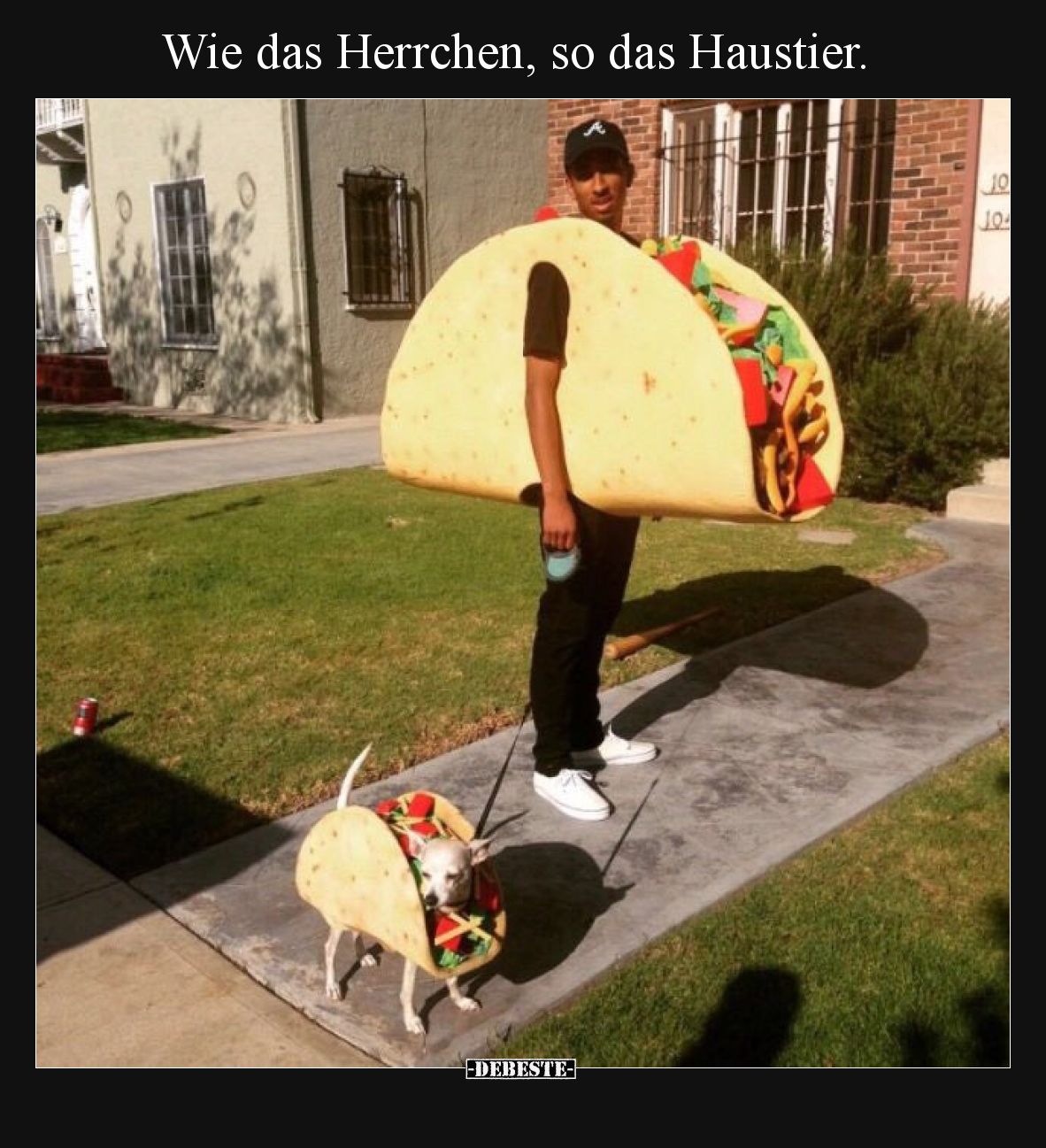 Wie das Herrchen, so das Haustier.