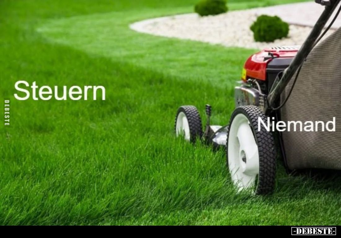 Steuern
vs
Niemand.